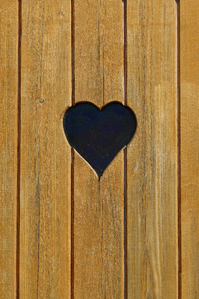 Woods boards background