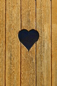 Woods boards background