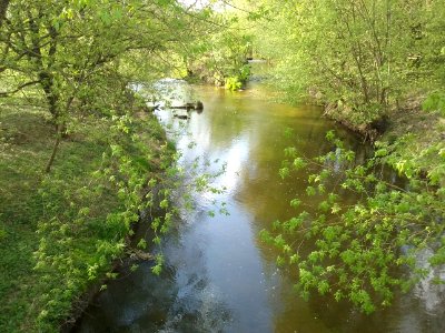 Thr tributary of the Czarna River to Wolbórka River, view from bridge at Wapienna Street in Tomaszów Mazowiecki