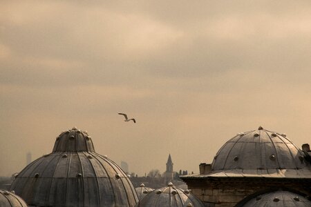 Travel istanbul mosque photo
