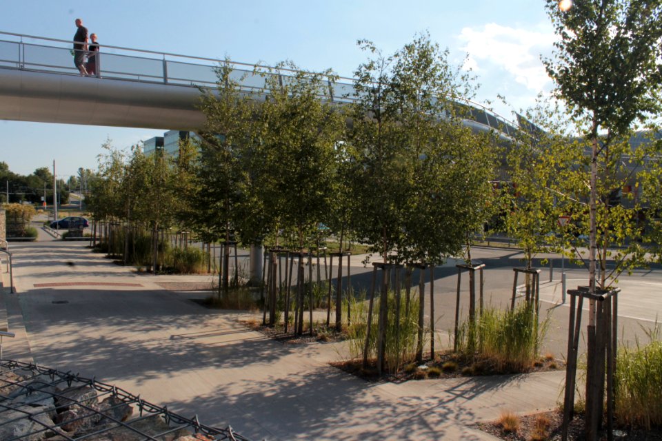 2013 Masaryk University Campus 20767