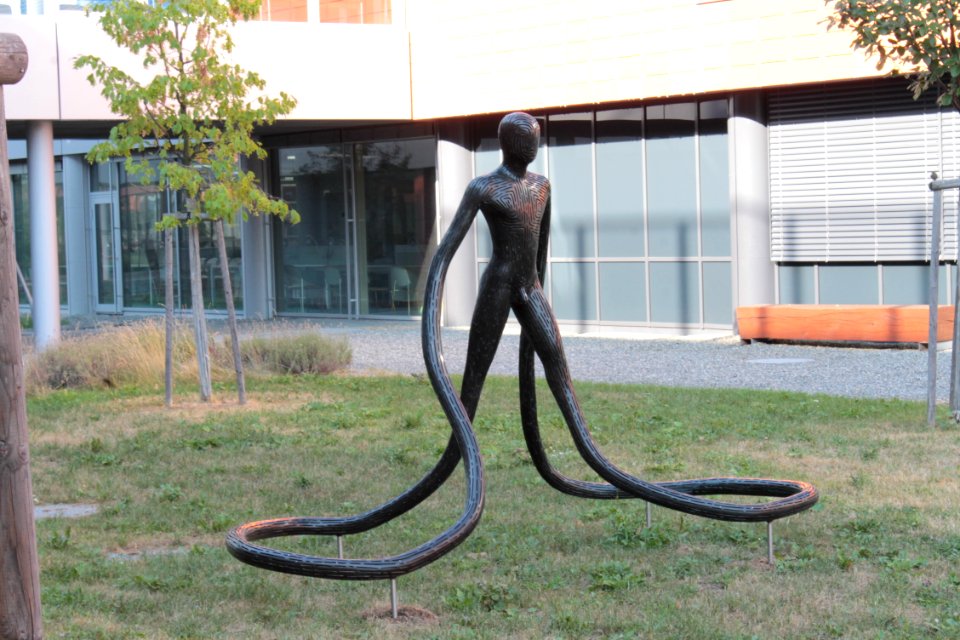 2013 Masaryk University Campus 20826
