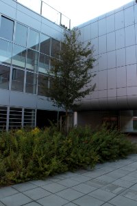 2013 Masaryk University Campus 20619