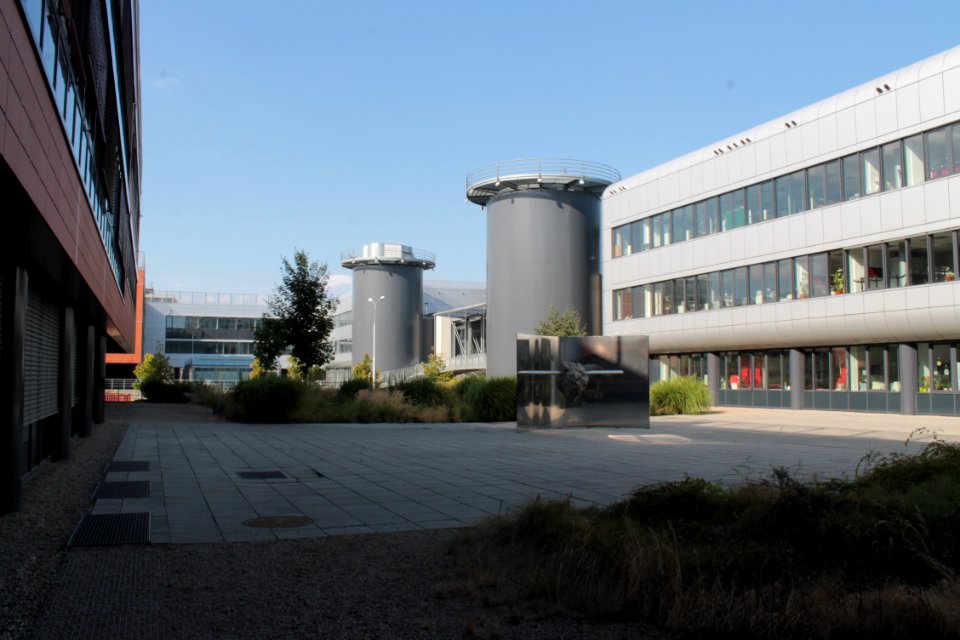 2013Masaryk University Campus 20669