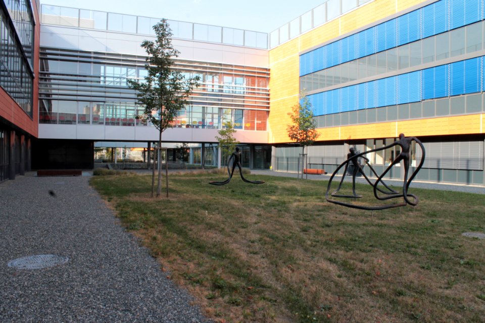 2013Masaryk University Campus20829