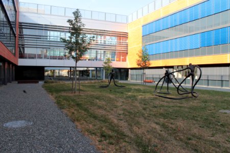2013Masaryk University Campus20829