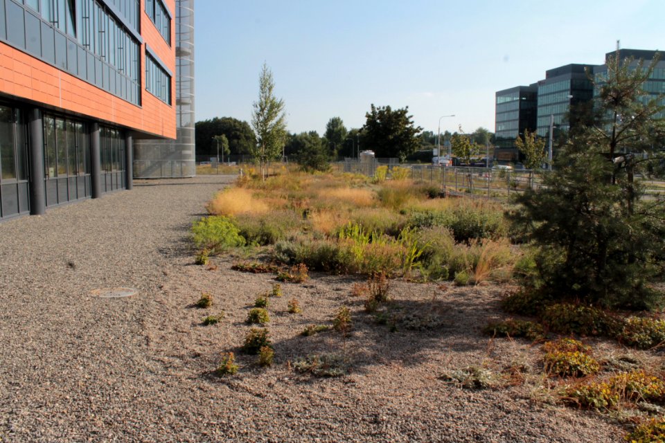 2013 Masaryk University Campus 20793