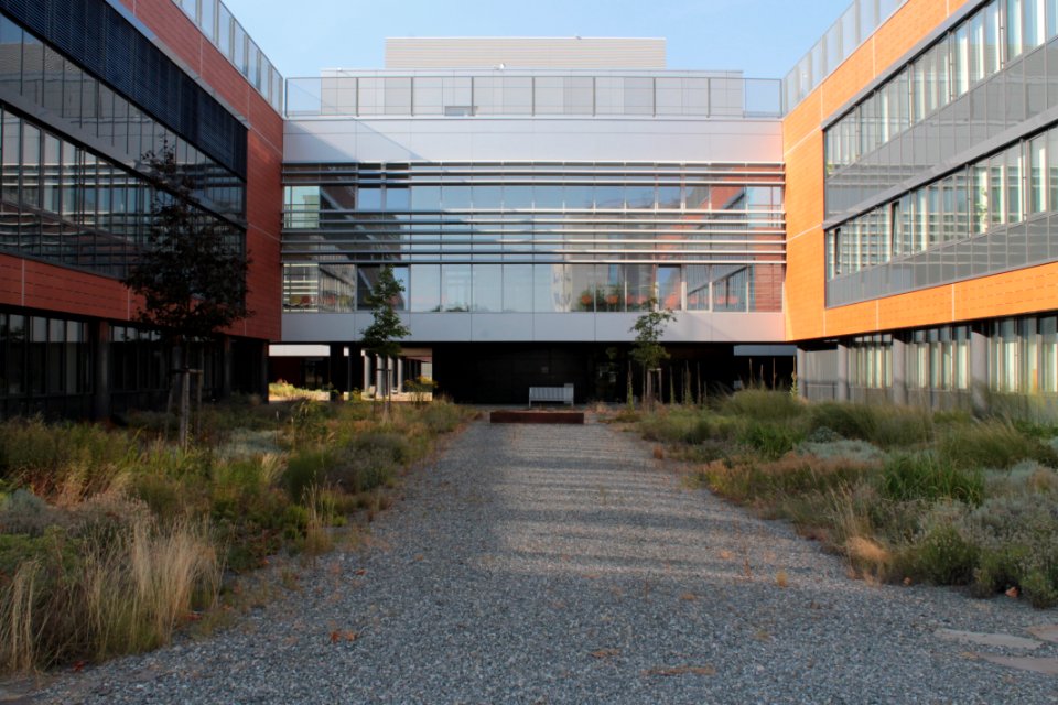 2013 Masaryk University Campus 20806