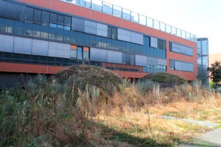 2013 Masaryk University Campus 20554
