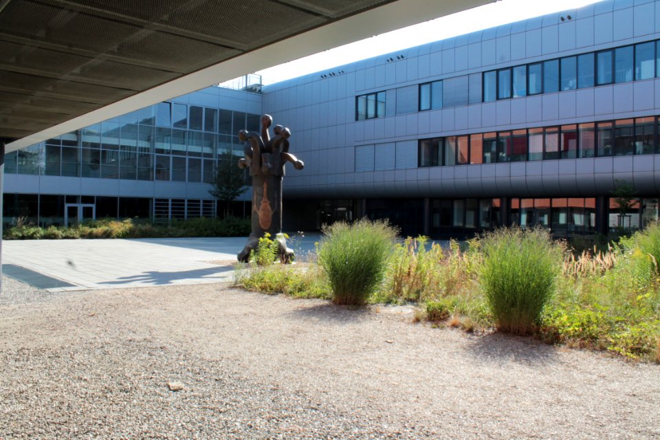 2013Masaryk University Campus 20614