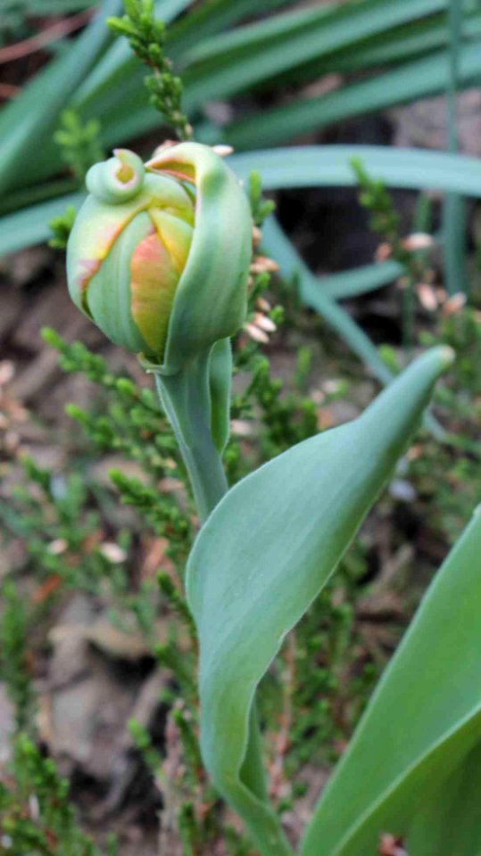 2013 05 02 12449u