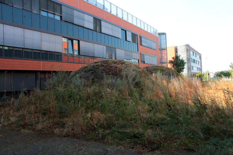 2013Masaryk University Campusy 20552