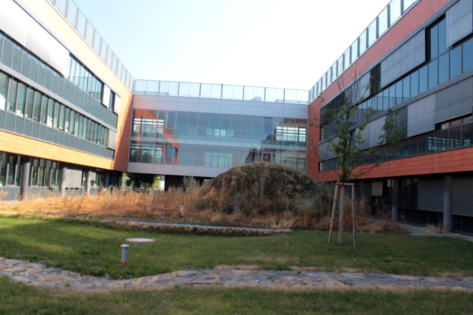 2013Masaryk University Campus 20583