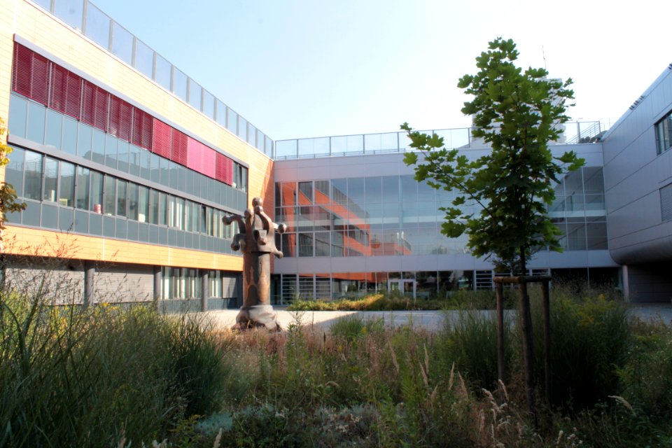 2013Masaryk University Campus 20640