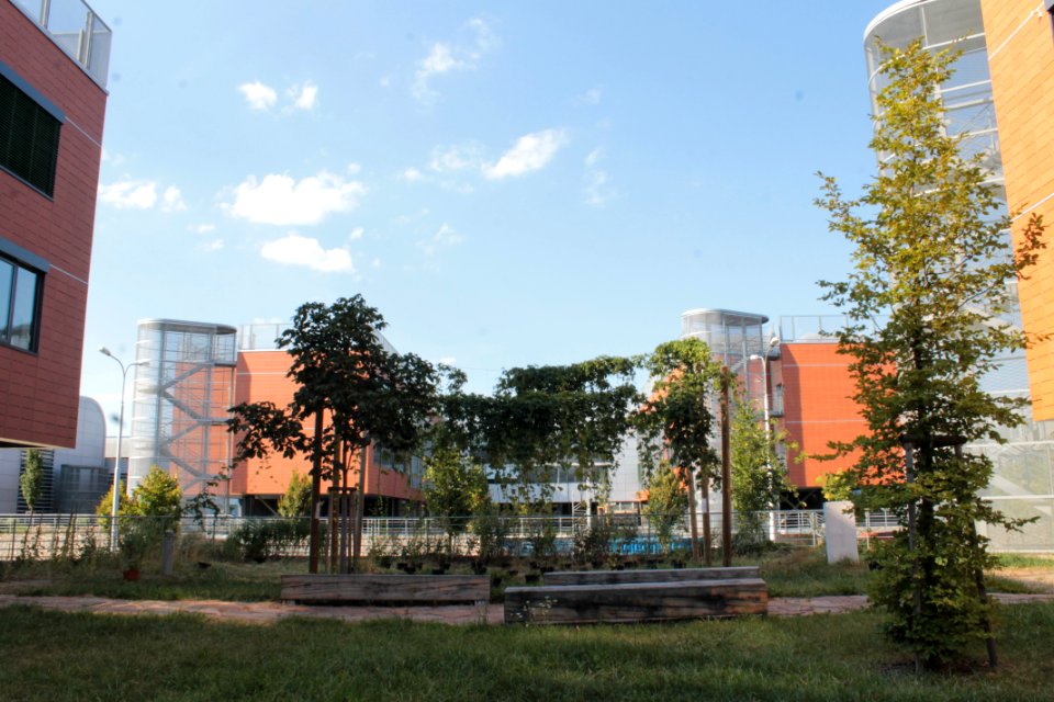 2013 Masaryk University Campus 20713