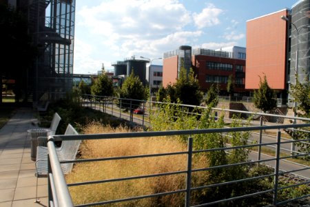 2013Masaryk University Campus 20592