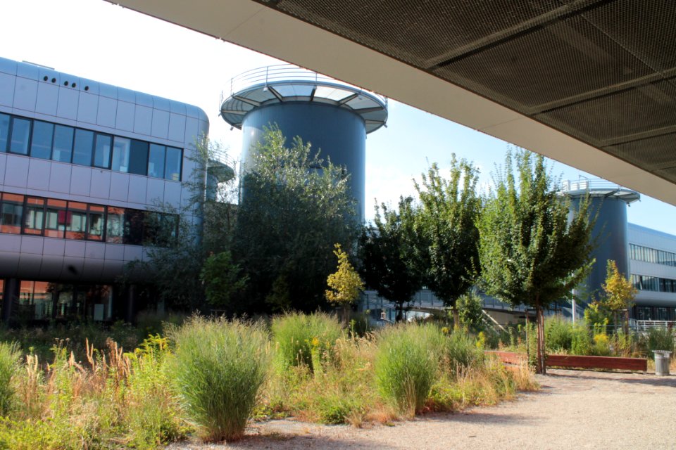 2013Masaryk University Campus 20635