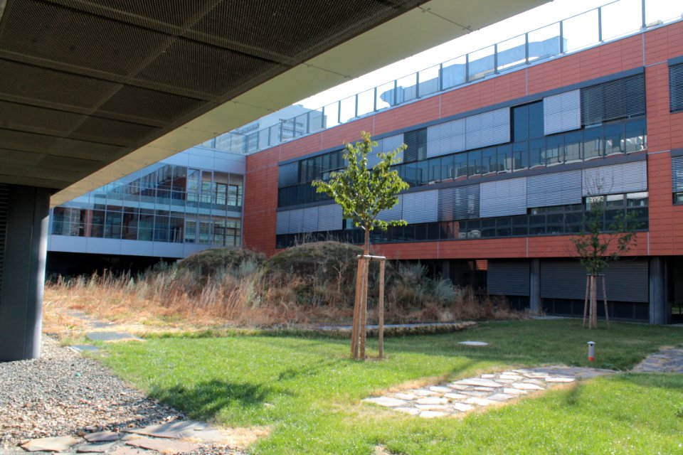 2013 Masaryk University Campus 20585