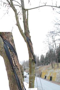 2013 03 28 Brno 9999 53u