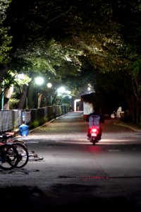 2014년 10월 15일 경기도 과천시 굴다리시장 입구 DSC03814
