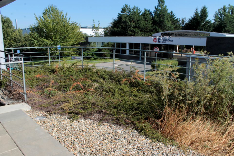 2013Masaryk University Campus 20528