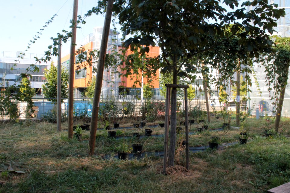 2013Masaryk University Campus 20719