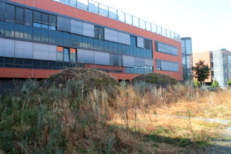 2013Masaryk University Campus 20564