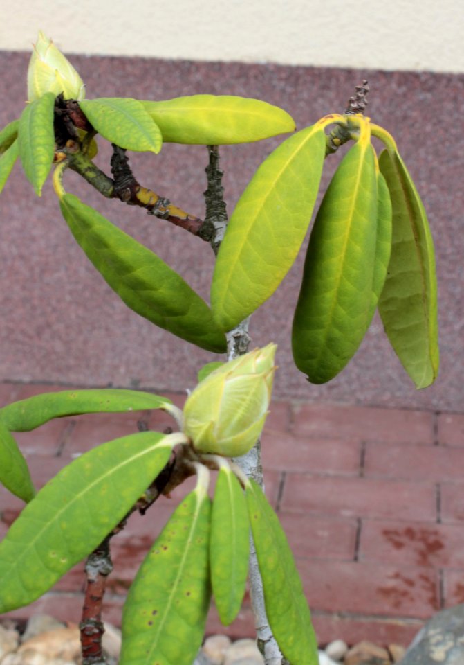 2013 05 08 12790u