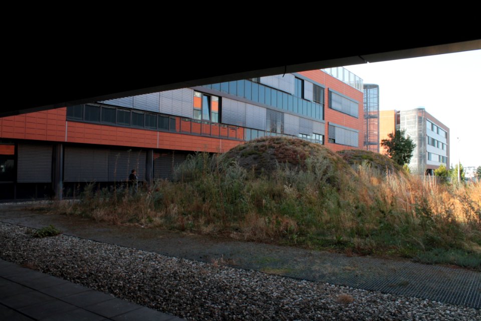 2013Masaryk University Campus 20560