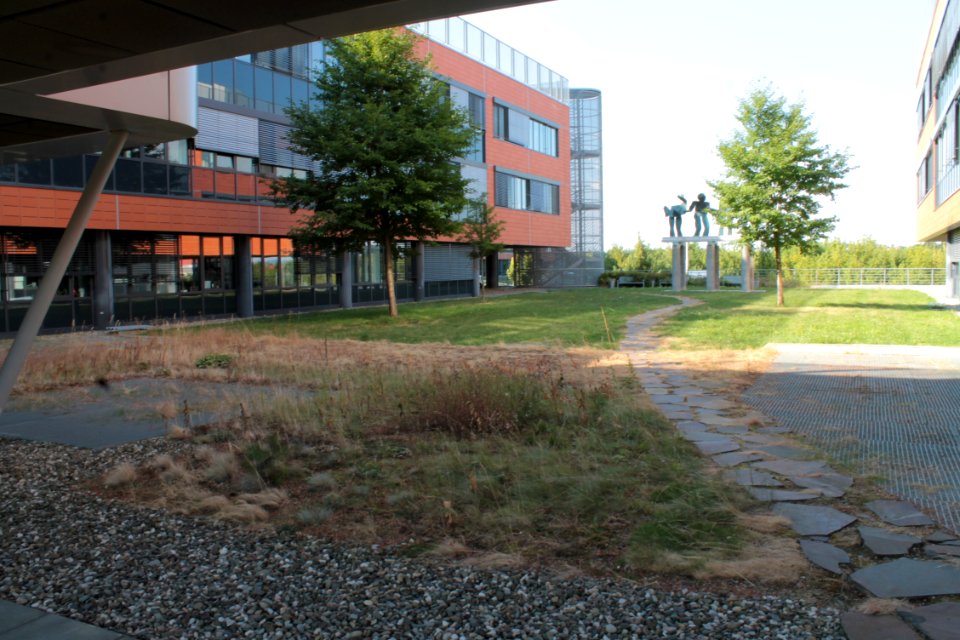 2013Masaryk University Campus 20533
