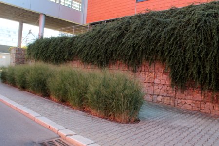 2013Masaryk University Campus 20521