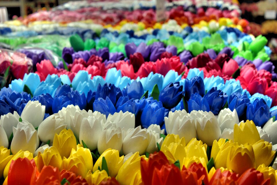 Dutch colorful floral