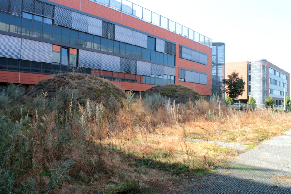 2013Masaryk University Campus 20556
