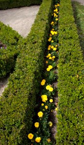 20110805Kromeriz 815
