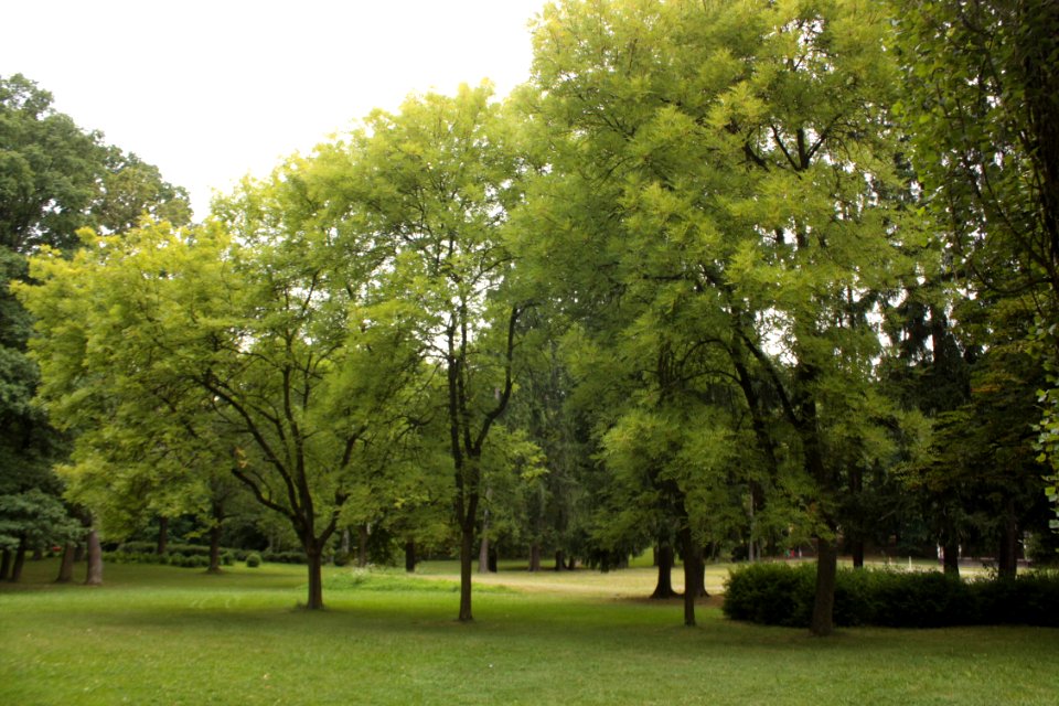 20110720Bouzov 190