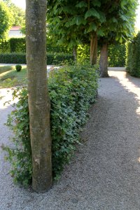 20120518 Vídeň (503)u