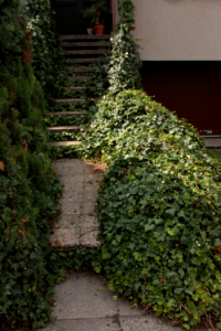 2.díl html m393e99f2