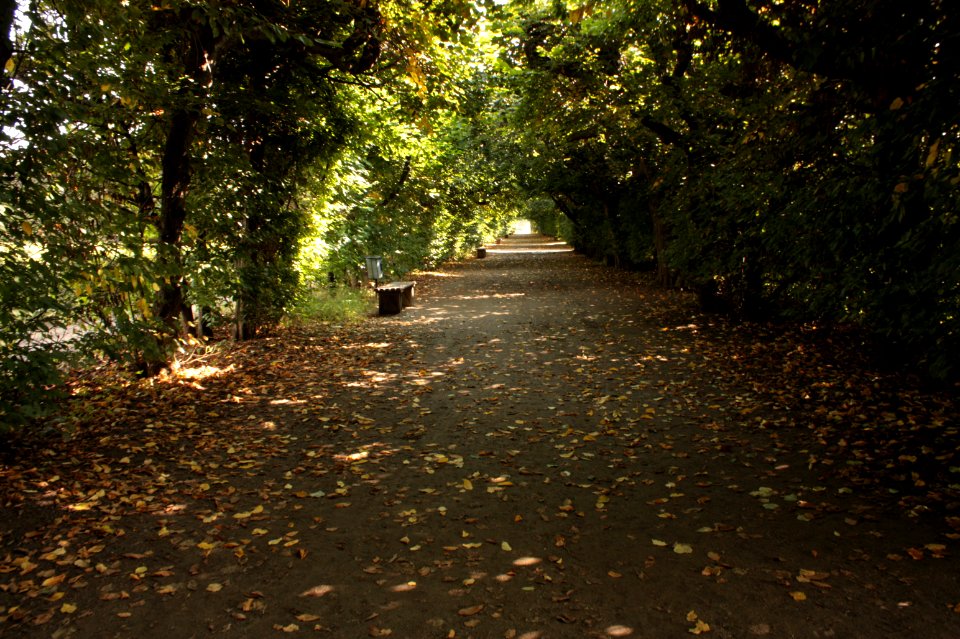 20110805Kromeriz 167