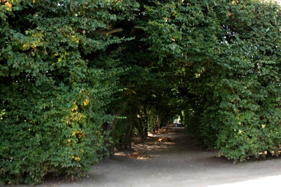 20110805Kromeriz 075