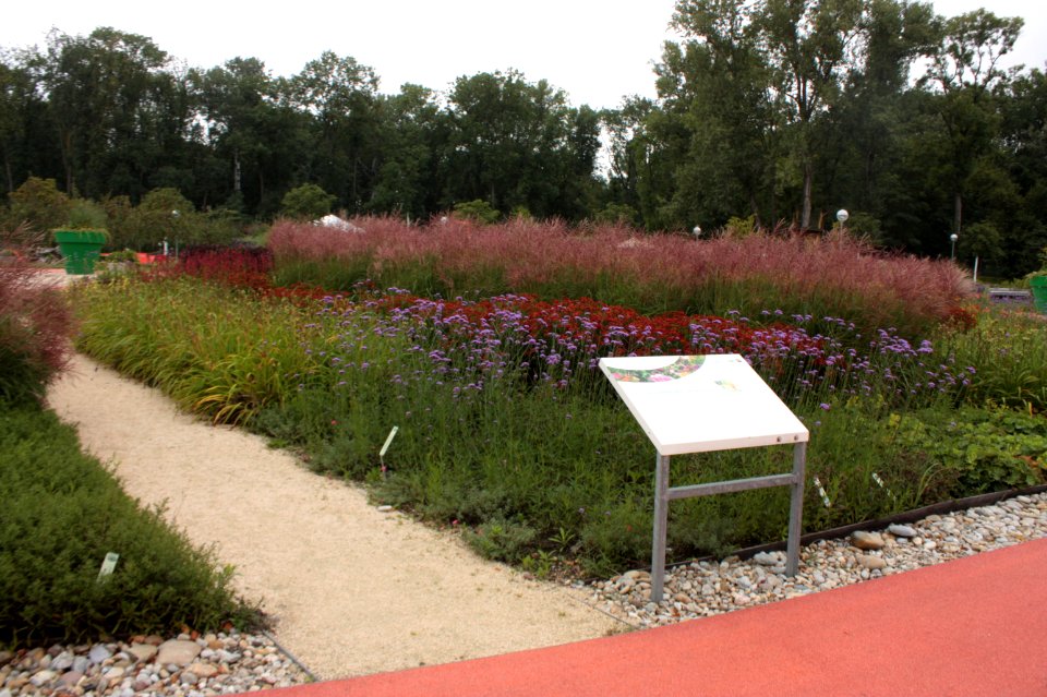 20110804Tuln 011