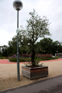20110804Tuln 010