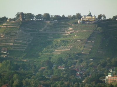 2019-09-14 Dresden Blick von der Briesnitzer Kirche 54