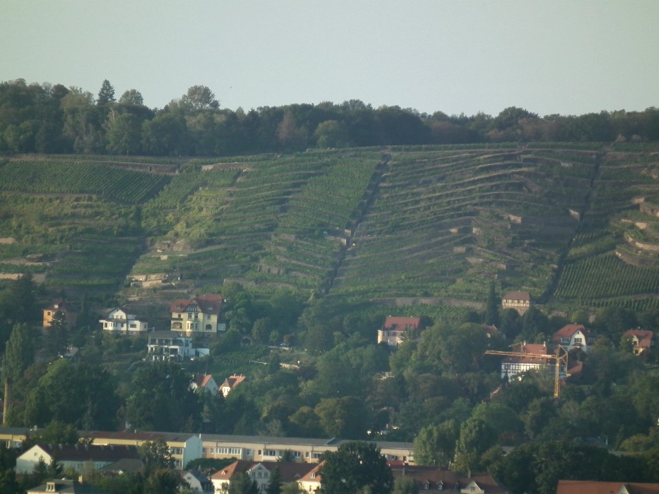2019-09-14 Dresden Blick von der Briesnitzer Kirche 56