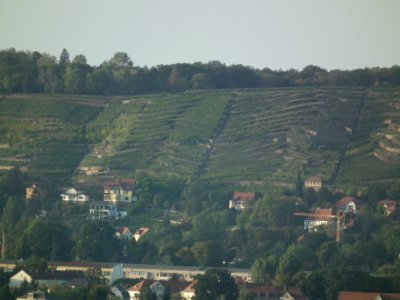 2019-09-14 Dresden Blick von der Briesnitzer Kirche 56