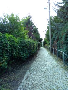 2019-08-08 Radtour durch Dresden, 19