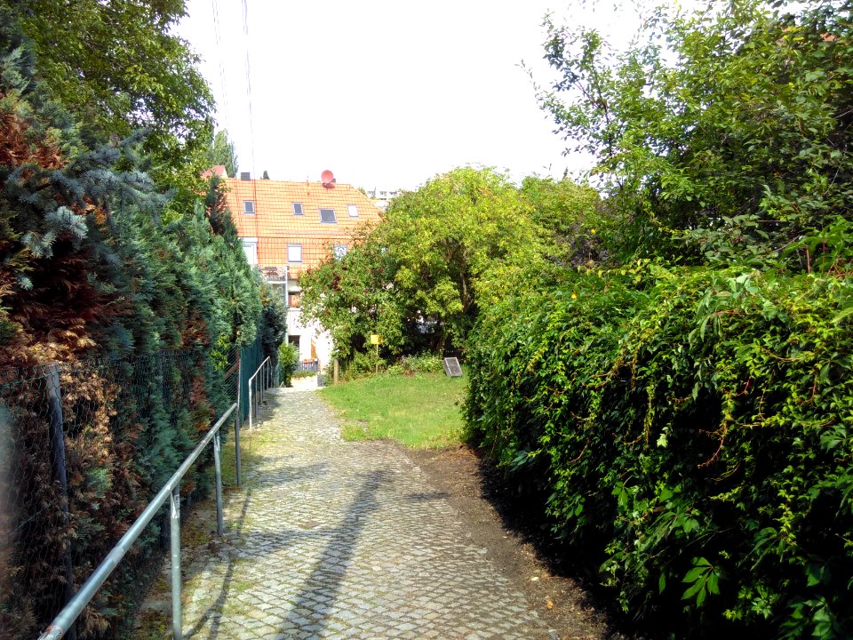 2019-08-08 Radtour durch Dresden, 20