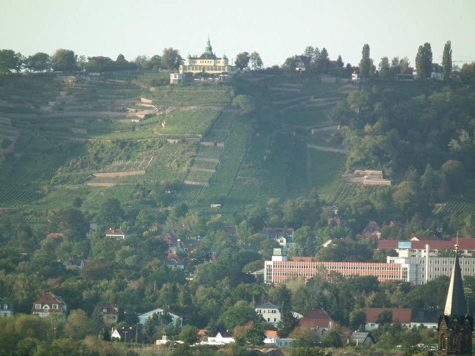 2019-09-14 Dresden Blick von der Briesnitzer Kirche 52