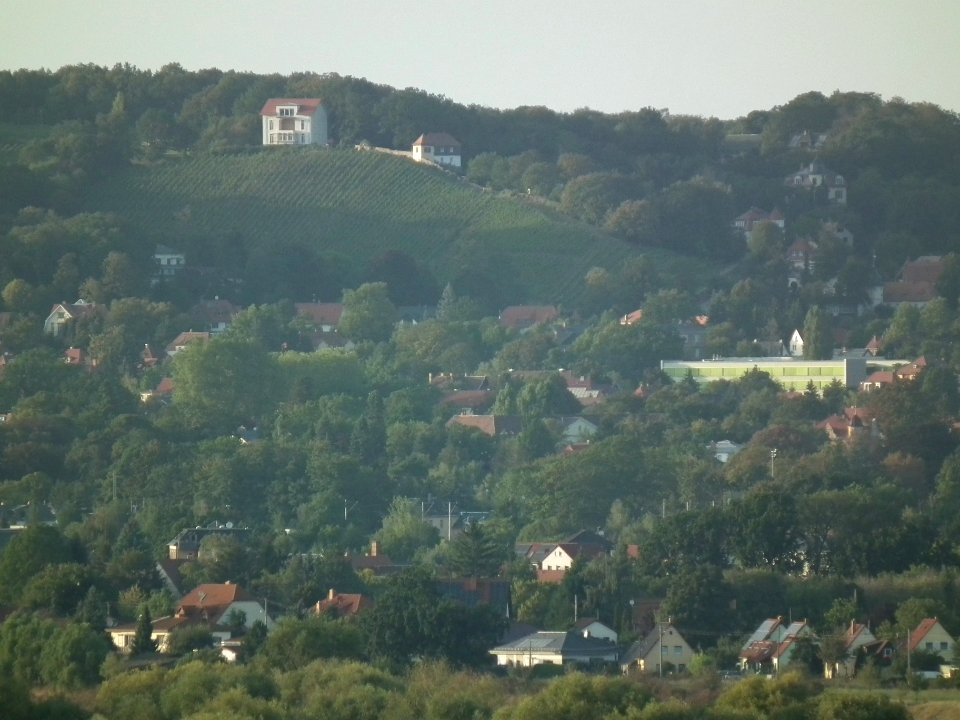 2019-09-14 Dresden Blick von der Briesnitzer Kirche 58
