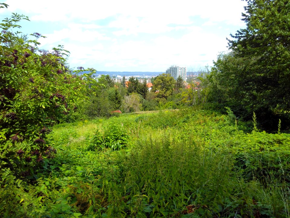 2019-08-08 Radtour durch Dresden, 26