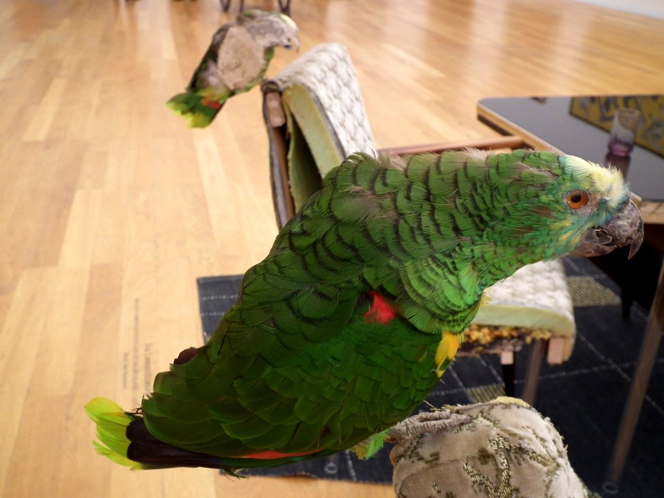 2019-08-09 Leipzig Museum der bildenden Künste 09